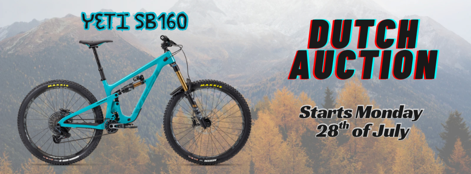 Yeti auction